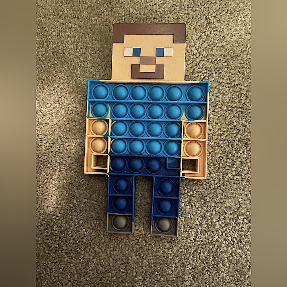 Steve Pop-It Toy Kids